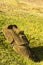 A Moai statue lying in the grass