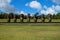 Moai statues in Ahu Akivi site, Easter Island, Chile