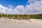 Moais on Anakena Beach in Easter Island, Chile