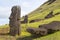 Moais on the outer slopes of Rano Raraku volcano. Rano Raraku is the quarry site where the moais were carved. Easter Island, Chile