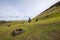 Moais on the outer slopes of Rano Raraku volcano. Rano Raraku is the quarry site where the moais were carved. Easter Island, Chile