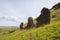 Moais on the outer slopes of Rano Raraku volcano. Rano Raraku is the quarry site where the moais were carved. Easter Island, Chile