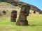 Moais from Rapa Nui, Rano Raraku quarry.