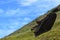 Moais in the slope of Rano Raraku volcano, Rapa Nui Easter Island