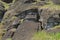 Moais in the slopes of Rano Raraku volcano, Rapa Nui Easter Island