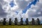 Moais statues, ahu Akivi, easter island