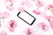 Mobil smart phone surrounded by pink cherry flowers