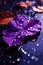 Mobile Elegance: Violet Leaf and Delicate Water Droplets Wallpaper