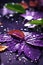 Mobile Elegance: Violet Leaf and Delicate Water Droplets Wallpaper