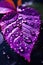 Mobile Elegance: Violet Leaf and Delicate Water Droplets Wallpaper