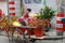 Mobile flower stand at the cat street