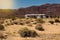 Mobile home in American desert