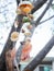 Mobile made from shells Hanging,On tree color green,Percussion shells is happy Shells beautifully decorated