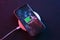 Mobile smart phone on wireless charging device on dark neon red and blue color background. Icon battery and charging progress