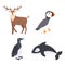 MobileSet Of Arctic Animals Reindeer, Atlantic Puffin Or Sea Parrot And Penguin Birds With Whale Wildlife Creatures