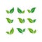 MobileSet of Green leaf icon design. Eco symbol concept isolated on white background. Vector illustration. Flat color style with