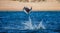 Mobula ray is jumping in the background of the beach of Cabo San Lucas. Mexico. Sea of Cortez.