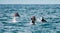 Mobula ray jumping out of the water.