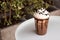 Mocha frappe in plastic cup. Served with whipping cream and chocolate sauce. Freshness drink. Favorite caffeine beverage menu