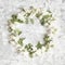 Mock orange wreath. Branches with flowers on shabby background.