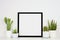 Mock up black square frame with potted cacti and succulent plants on a shelf against a white wall