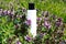 Mock Up bottle of shampoo standing in a meadow with flowering Lamium purpureum, dead-nettle, purple dead-nettle, or