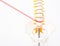 Mock up human spine on a white background with a laser. The concept of a new modern method without surgery for the treatment and