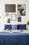 Mock-up picture gallery on a white wall above a large bed with navy blue bedding in a bright and modern bedroom