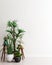 Mock up wall with group of potted house plants in modern interior background, moment for contemplation, Scandinavian style