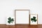 Mock up wood frame with St Patricks Day rustic decor on a wood shelf against a white wall