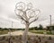 `Mockingbird Tree` by Michael Warrick on a roundabout in Southlake, Texas.