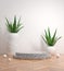 Mockup Aloe Vera Step Podium Black Marble On Wooden Floor 3d Render