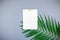 Mockup blank white postcard tropical palm leaves