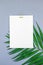 Mockup blank white postcard tropical palm leaves