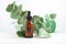 mockup glass bottle Essential oil or serum cosmetics with eucalyptus branches on textured white background