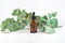 mockup glass bottle Essential oil or serum cosmetics with eucalyptus branches on textured white background