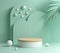 Mockup Mint Pastel Modern Minimal Wooden Podium With Palm Leaf Abstract Background 3d Render