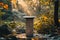 Mockup for product photography of a pedestal made of ecological elements surrounded by nature