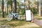 Mockup of a smartphone in a girl`s hand. Against the background of a bicycle in the forest