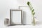 Mockup template with two blank silver frames, silver small vase and green Zamioculcas plant