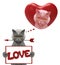 Mockup valentine heart with cat