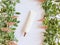 Mockup of white cosmetic tube with long nozzle and bronze screw cap, fresh greens and pink flowers on a white background.