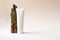 Mockup white plastic tube with moisturizer cream, facial cleanser or shampoo and tree branch with moss on beige background