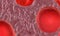Model of blood cells