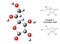 Model and chemical formulas and of ascorbic acid (vitamin C, E300)