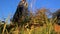 A model in a coat in a park examines dry wild grass in the fall and talks to a photographer