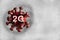 Model of corona virus, covid-19, red on smoky white background and characters 2G for infected and vaccinated people