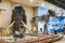 The model and fossil of woolly  mammoth