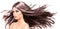 Model Girl with Long Blowing Hair