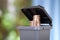 A model of a gray trash can containing recyclable trash in the garbage sorting process opens the lid and comes out with dollar coi